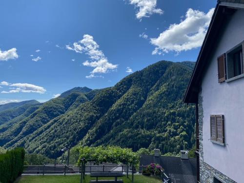 Paisaje cerca de este apartamento