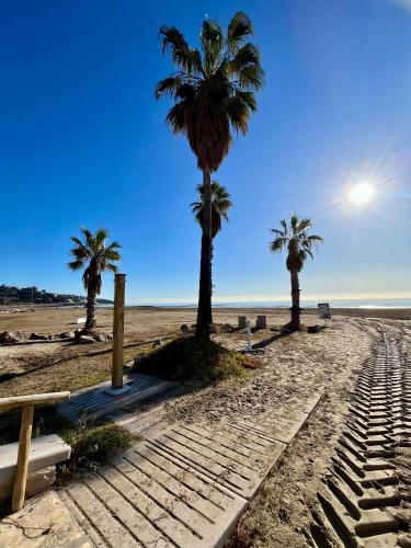a row of palm trees on a sandy beach at El Horizonte de Benicassim III, Descubre esta lujosa propiedad a los pies del Mediterraneo in Benicàssim