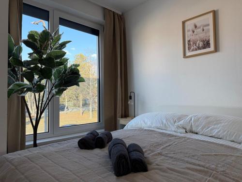 Gallery image of 100 m2 Apartment mit Balkon und Parkplatz in Gerasdorf bei Wien
