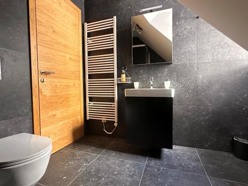 a bathroom with a sink and a toilet and a mirror at Nordic Sun 01 in Kranjska Gora