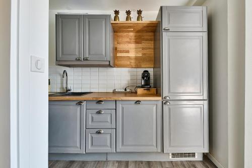 une cuisine avec des armoires grises et un évier dans l'établissement Louvre Museum 35 mins away, à Saint-Maurice
