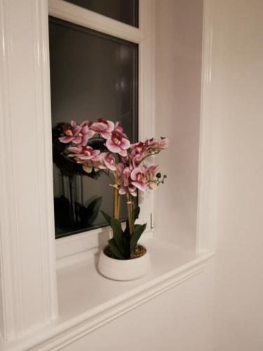 Fotografie z fotogalerie ubytování Stevenson Apartment in Oban City v destinaci Oban