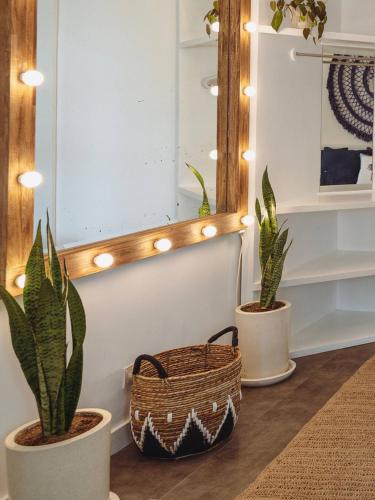 two plants in pots on a shelf with a mirror at Pavones - Tropical Oceanfront 1 Bedroom Apartment by Triang Villas in Tanah Lot