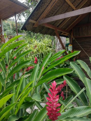 Un jardín fuera de Casa kumake tayrona