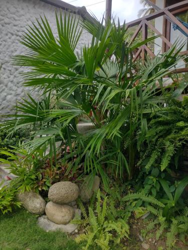 Un jardín fuera de Casa kumake tayrona