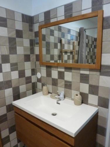 a bathroom with a sink and a mirror at Appartement familial avec jardin au Robert in Le Robert