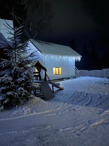 a house with a christmas tree in the snow at night at Водограй in Vorokhta