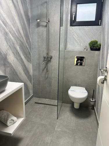 a bathroom with a shower and a toilet at Pensiune cu restaurant Bigfast in Luduş