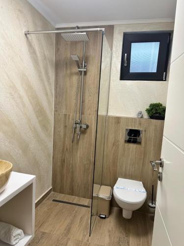 a bathroom with a shower and a toilet at Pensiune cu restaurant Bigfast in Luduş