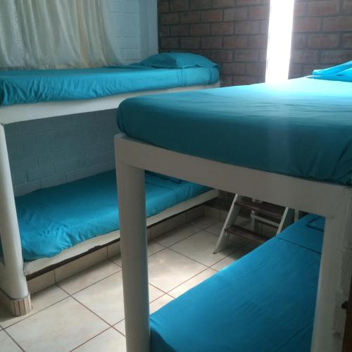 two bunk beds in a dorm room with blue sheets at Bungalows Cerro Azul in Cerro Azul