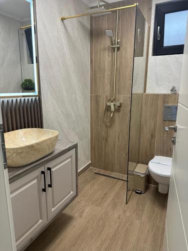 a bathroom with a sink and a shower and a toilet at Pensiune cu restaurant Bigfast in Luduş