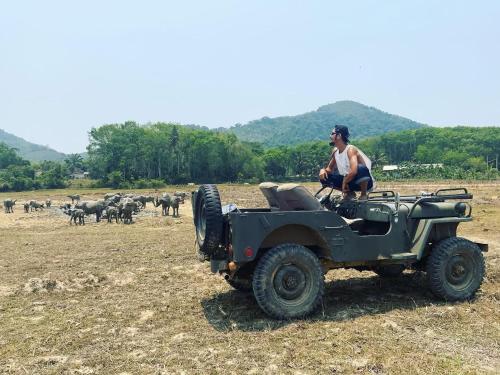 a man sitting on a jeep in front of a herd of animals at Kom buds garden in Ko Yao Noi
