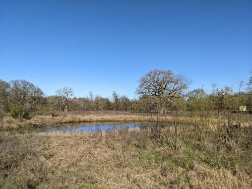 a pond in the middle of a field at Old Oak Ranch in Cameron
