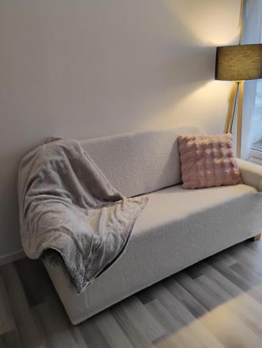 Appartement prox HOPITAL Hautepierre-Zenith