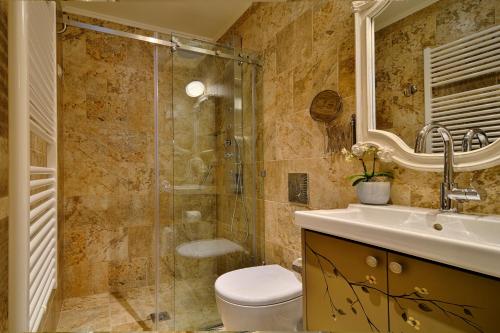 a bathroom with a shower and a toilet and a sink at Hotel Antique in Ioannina