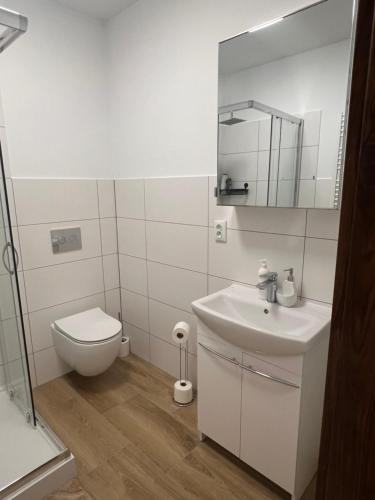 Koupelna v ubytování Noclegi Opole-Chmielowice Apartament B