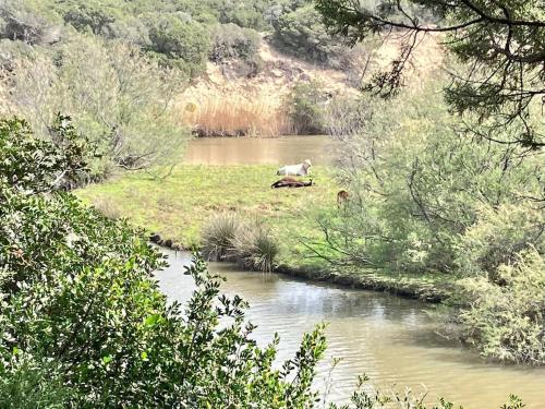 Φυσικό τοπίο κοντά σε αυτό το διαμέρισμα