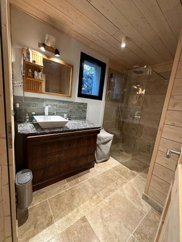 une salle de bain avec un lavabo et une douche dans l'établissement Le chalet de Paul, à Villevieille