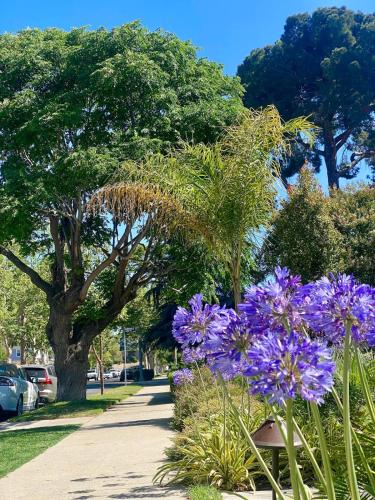 Jardín al aire libre en The Vine Studio City - CAL KING - Private Entrance