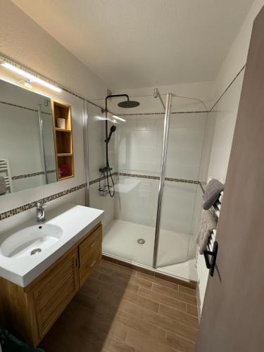 une salle de bain avec une douche et un lavabo et une douche dans l'établissement Rare Ski Apartment Chalet Flaine, à Arâches-la-Frasse