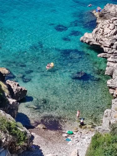 Peisaj natural din apropierea acestui apartament