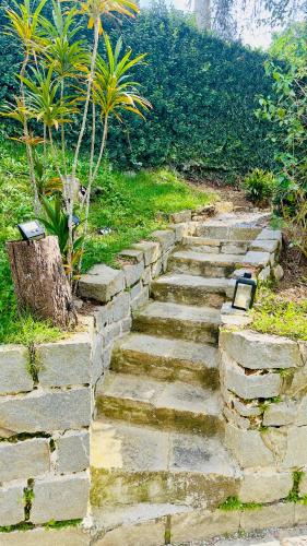 a stone path leading up to a hill with plants at Casa Girassol in Teresópolis