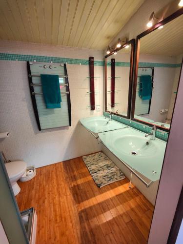 La salle de bains est pourvue d'une baignoire, de toilettes et d'un miroir. dans l'établissement Beau duplex au calme en pleine nature avec piscine, à Mougins