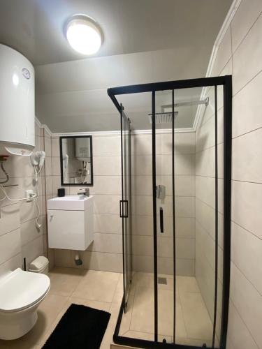 a bathroom with a glass shower and a toilet at Водограй in Vorokhta