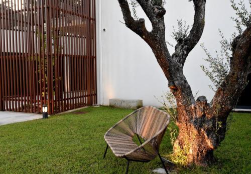 a bench next to a tree next to a building at Alminhas da Mindua in Vitorino dos Piães