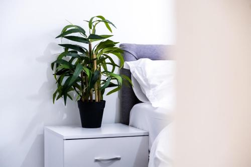 Comfy Home-Windrush Grove photo 30