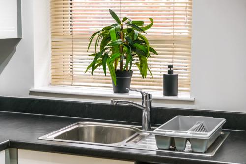 Comfy Home-Windrush Grove photo 57