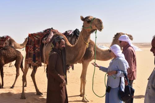 a group of people standing in front of a camel at Alwaha safari hotel in Qasr Al Farafirah