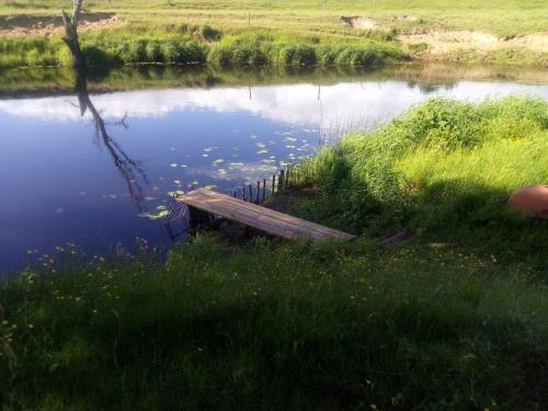 a wooden bench sitting in the middle of a lake at Neues Ökohaus in traumhafter Lage direkt am Fluss in Västra Årena