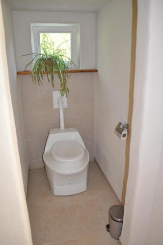a bathroom with a toilet with a potted plant at Neues Ökohaus in traumhafter Lage direkt am Fluss in Västra Årena