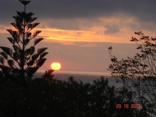 a sunset over the ocean with a tree in the foreground at Hotel Cyrnea in Bastia