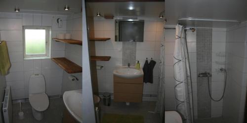 a bathroom with a sink and a toilet and a shower at Lilla Huset på Slätten B&B in Lund