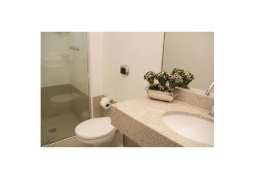 a bathroom with a sink and a toilet and a mirror at Mariano Palace Hotel in Campinas