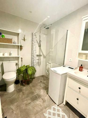 une salle de bain avec toilettes, douche et lavabo dans l'établissement Paisible appartement, à Marolles-en-Brie