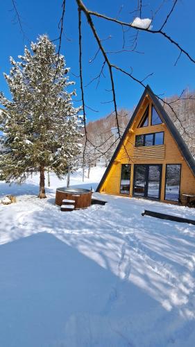 a cabin in the snow with a tree in front at Cabana Evia Porumbacu de Sus in Porumbacu de Sus