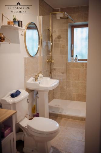 une salle de bain avec toilettes, lavabo et douche dans l'établissement Le Palais de Velours (Centre-Ville Historique), à Auxerre