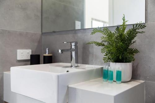a bathroom sink with a potted plant on it at Living luxe in Yokine - King bed and FREE parking in Perth