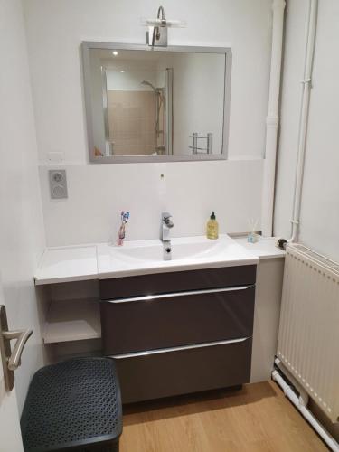 une salle de bain avec un lavabo et un miroir dans l'établissement Superbe appartement en bord de rivière, à Morez