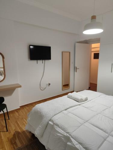 Freshly Renovated Appartment