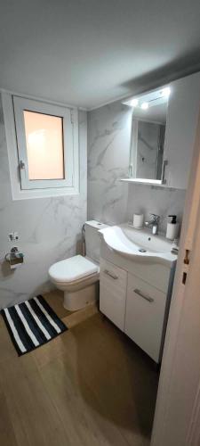 Freshly Renovated Appartment