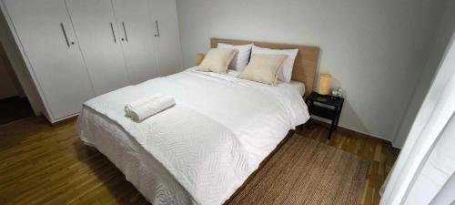 Freshly Renovated Appartment
