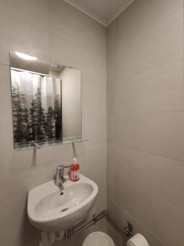 a bathroom with a sink and a mirror and a toilet at Vandrarhem 11 RUM & KÖK in Sandviken