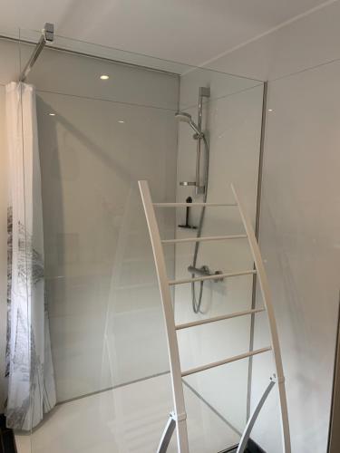 a ladder in a bathroom with a shower at Woning gelegen in rustige bosrijke omgeving in Wingene