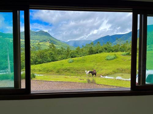 a horse standing in a field looking out a window at Refúgio Rio do Boi in Praia Grande
