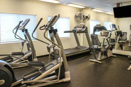 Fitness centrum a/nebo fitness zařízení v ubytování Sq Orca Oasis
