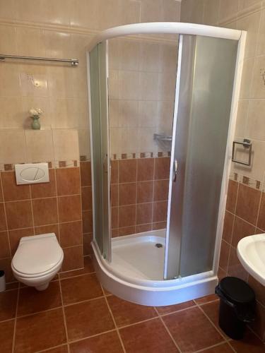 a bathroom with a shower and a toilet and a sink at GAJOVA Restauracja & Nocleg in Pobiedziska
